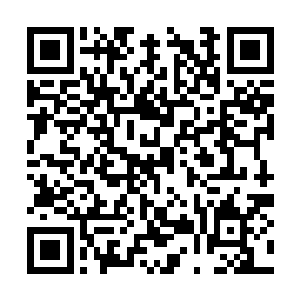 只是咧着小嘴露出一排雪白的牙齿笑嘻嘻的看着他二维码生成