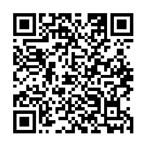 只是四周围墙上面那些醒目的标语提示着这里属于政府用地二维码生成