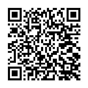 只是因为对方这么冷漠的杀死一个对她根本没有任何妨害的人二维码生成