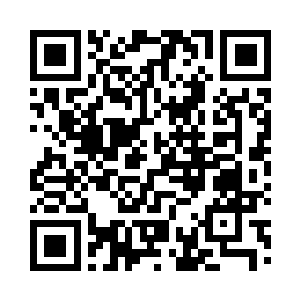 只是因为当年在五渔村夏云杰一个电话二维码生成