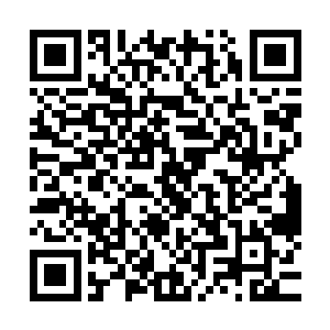 只是因为现在这套房子不管是地理位置还是价格都挺合他的意二维码生成