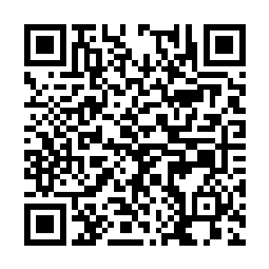 只是在朝阳乃至清江都找不到令她满意的物业公司二维码生成