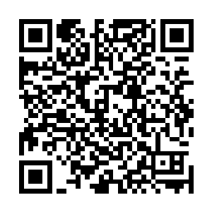 只是在某些决断的时候做出了一些自认为是正确的选择而已二维码生成