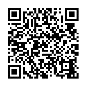 只是在细长脖子的周围长着一圈圈半透明的肿瘤二维码生成