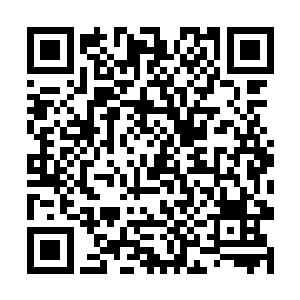 只是在腕带最后的通知上得到可以自由离开的讯息后二维码生成