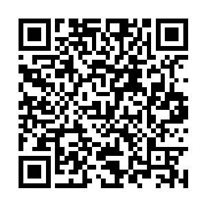 只是在这里发现了二十年前失踪的秦老前辈的踪迹二维码生成