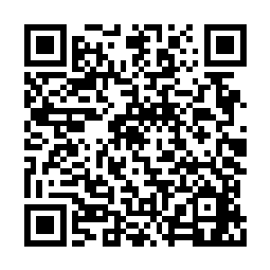 只是大灾变之前人类历史上最大的一个幽默而已二维码生成