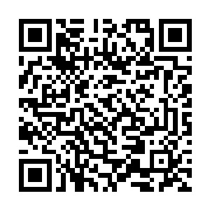 只是奈何霍君白刚刚才将实力超群的杜催教训了一顿二维码生成