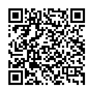 只是她们知道在这种时候她们来到轩辕之丘也没有作用二维码生成