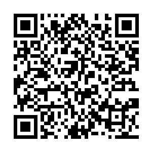 只是如今这主神空间及其里面的轮回者到底去了哪里二维码生成