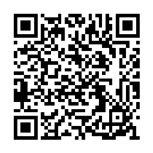 只是子家在三百多年前投靠了龙皇神殿寻求庇护二维码生成