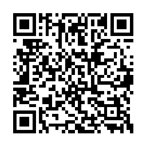 只是季疏云的肩膀仔细看去还是有着淡淡的颤抖二维码生成