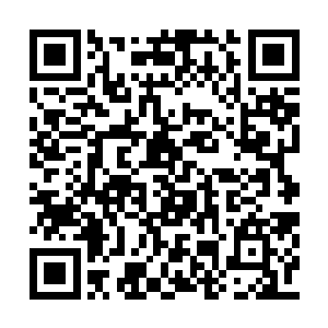 只是它这种用自己的身躯为同族阻挡攻击的做法二维码生成