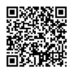 只是宋大管家貌似根本就没在意什么场面壮观不壮观二维码生成