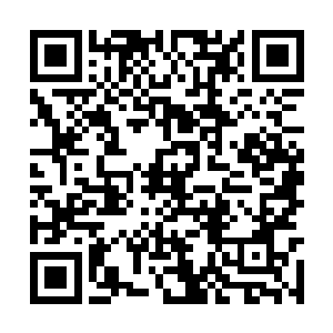 只是对上这姑娘干净漂亮的眸子跟真挚又忐忑的脸二维码生成