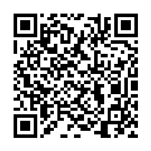 只是对方的临死反击也带走了两名队员的生命……二维码生成