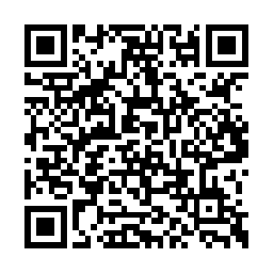 只是对着墨修尧再也没有了从前痴心不改的迷恋二维码生成