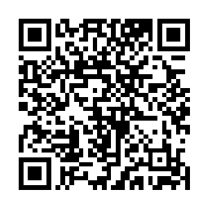 只是属于血妖姬的力量已经被七彩灵力纠缠包裹隐藏在深处二维码生成