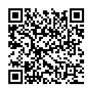 只是当他们其中一些人看到愤怒那冰冷的眼神之后二维码生成