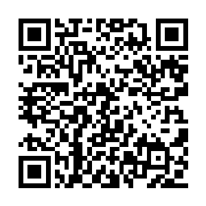 只是当年这蛊的主人给黄老下蛊之后就意外死了二维码生成