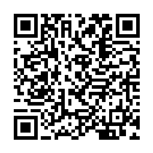 只是想见一见这些尸体罢了……尸体并没有立即销毁二维码生成