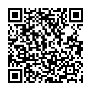 只是感叹当初的强大血脉到现在没落到如此地步罢了二维码生成