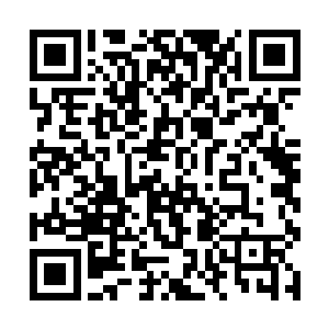 只是我们乐家现在已经无暇照顾你们这些客人了……二维码生成