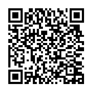 只是我在研究g蛋白偶联受体的闲暇时间里想出来的二维码生成
