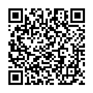 只是我实在是有点不敢相信他们师徒间能做出那龌龊之事二维码生成