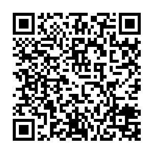 只是把那些尸体上残留的伤痕和那个绿袍红发的家伙的鬼爪一样的双手一对比二维码生成