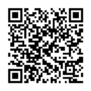 只是按班就部地跳完了一曲没有什么曲折的舞之后二维码生成