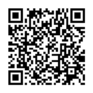 只是放牛啃了他们家一分地的水稻已经算开恩了二维码生成