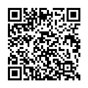 只是方才还活蹦乱跳的李奇如今已经奄奄一息了二维码生成