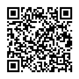 只是无论怎么检查都查不出金丝雀琴瑟色昏迷不醒的原因二维码生成