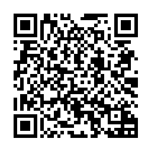 只是时不时能看到一些目光警惕的外部落人藏在树丛里二维码生成