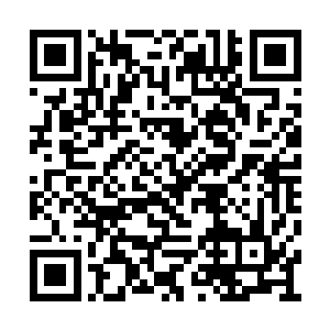 只是最近在他画廊隔壁又新开设了一家画雪小斋二维码生成