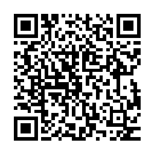 只是有点游离惊奇的眼神扫动着巴克上身的那条毛茸茸大狗刺青二维码生成