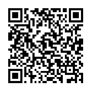 只是此时这些声音尽数被无痕崖顶的琴声掩盖了过去二维码生成