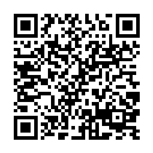 只是殿下……你会要求我去改变我自己的行事风格吗二维码生成