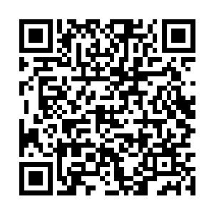 只是比电影作品的一个试镜更重要一点的机会而已二维码生成