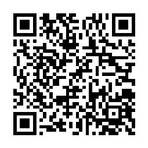 只是没入骨架内部的剑尖被妖气侵蚀得有点厉害二维码生成