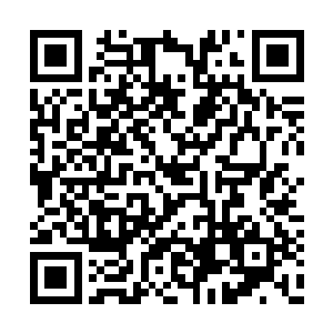 只是没料到你的眼睛连这些东西都可以分辨出来二维码生成