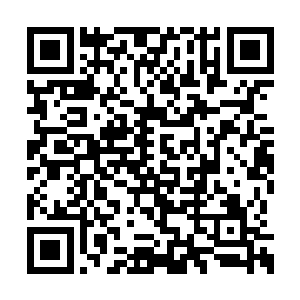 只是潜意识里对未知世界的不安却难从心头祛除二维码生成