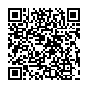 只是现在的精英ss里面的火焰精魄它已经很傲娇的不要吃了二维码生成