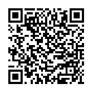 只是用一份灵魂之力就能换取一个世界的轮回吗二维码生成