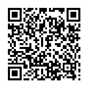 只是用墨家剑法中的精妙本事将他的掌力转到了一旁二维码生成