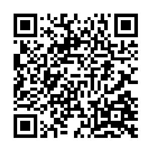 只是用质地温润的羊脂玉簪子把长发在脑后挽成一朵发髻二维码生成