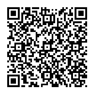 只是白芷璃不明的就是为什么这个鸢尾会突然句知道了自己的是自这个世界的人呢二维码生成
