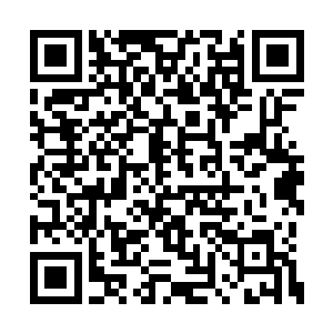 只是看到他们脸上的神色应该是修炼得很是辛苦二维码生成