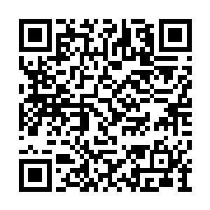 只是看到天空那仿佛恶鬼出世的异象便是叹口气二维码生成